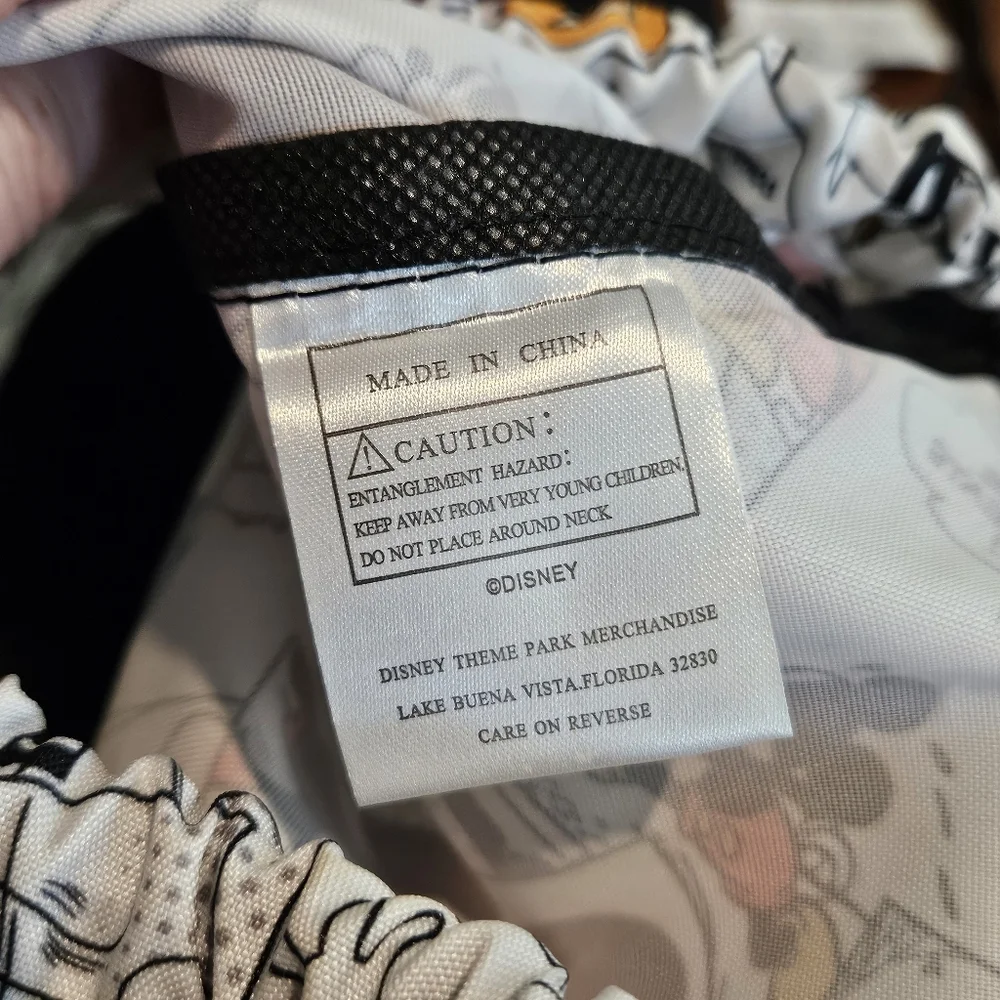 Two Disneyland Resort Mickey and Friends Cartoon Cinch Bags